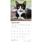 BrownTrout; Tuxedo Cats | 2027 12 x 24 Inch (Hanging) Monthly Square Wall Calendar | Plastic-Free; Category:Wall Calendars; Image:5